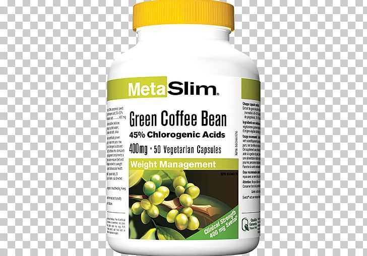 Green Tea Green Coffee Extract Coffee Bean PNG, Clipart, Apple Cider Vinegar, Cafe, Chlorogenic Acid, Coffee, Coffee Bean Free PNG Download
