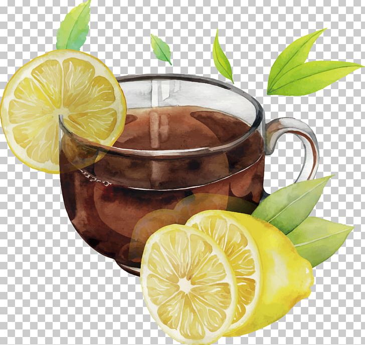 Green Tea Watercolor Painting Lemon PNG, Clipart, Cuba Libre, Flavor, Fruit, Fruit Nut, Green Tea Free PNG Download