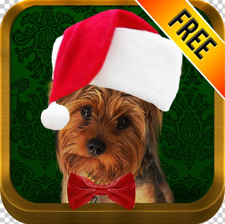 Photo App Holiday Santa Claus Dog Pet PNG, Clipart, Android, App, App Store, Carnivoran, Christmas Free PNG Download