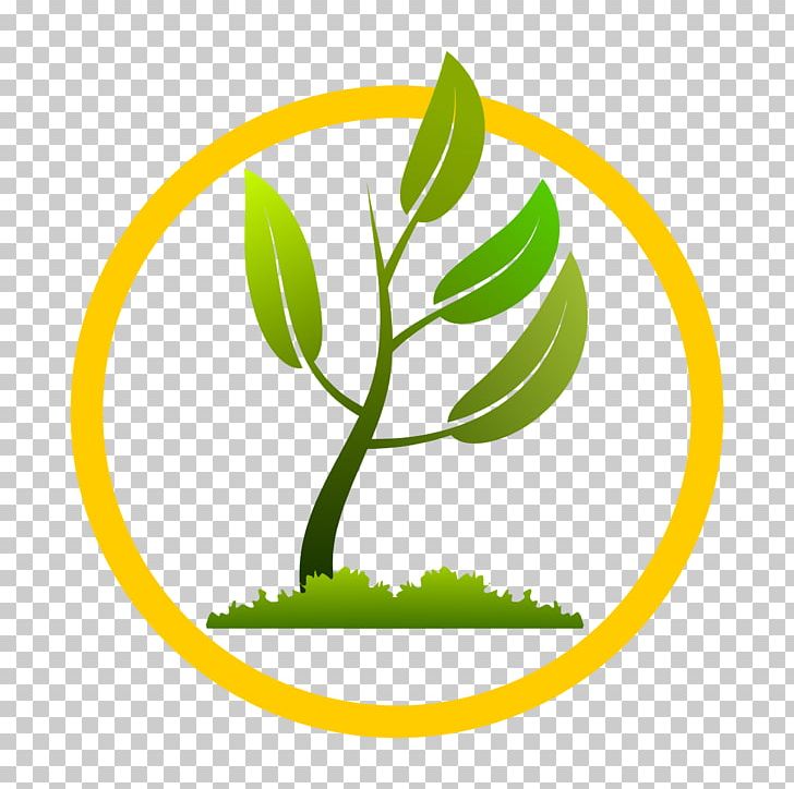 Plant Tree Pruning PNG, Clipart, Arborist, Area, Circle, Clip Art, Commodity Free PNG Download