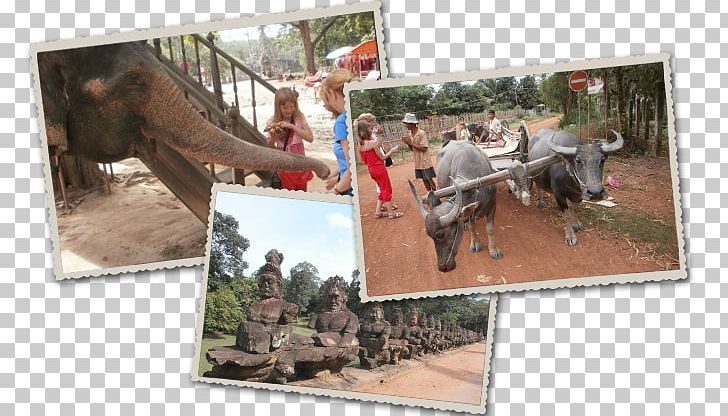 Recreation Elephant Mammoth PNG, Clipart, Angkor Wat, Elephant, Elephants And Mammoths, Mammal, Mammoth Free PNG Download