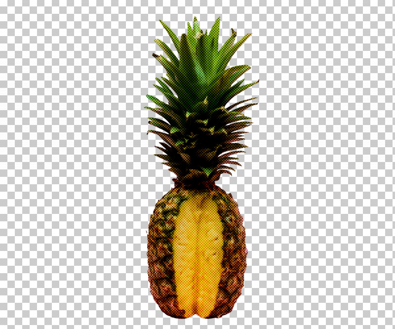 Pineapple PNG, Clipart, Discover Card, Discover Financial Services, Editing, Fruit, Highdefinition Television Free PNG Download