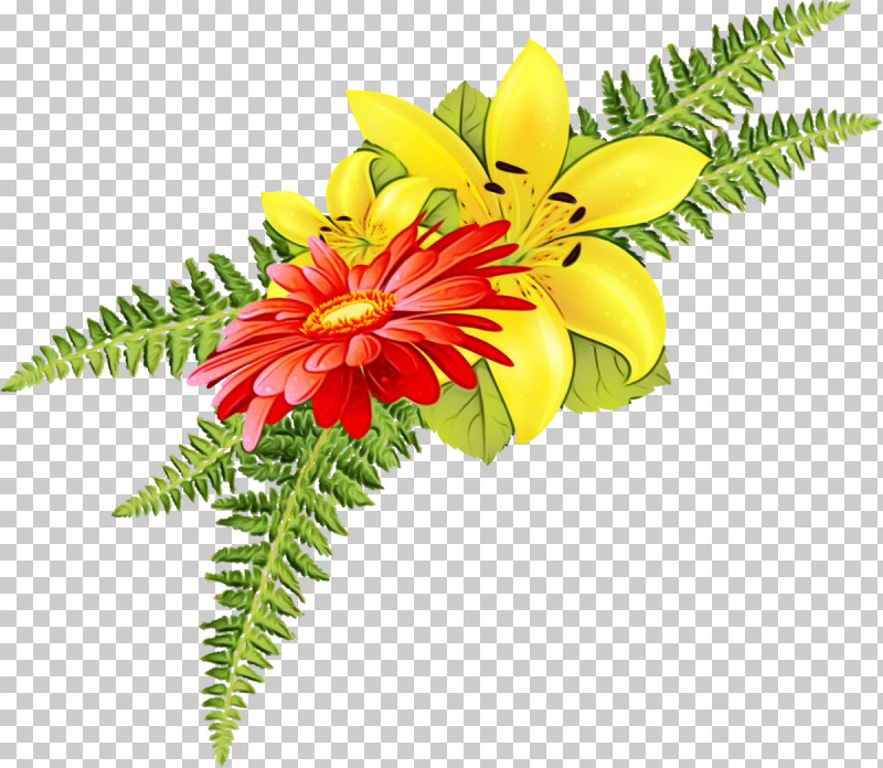 Cut Flowers Petal Flower Flowerpot Plants PNG, Clipart, Biology, Cut Flowers, Flower, Flowerpot, Lily Flower Free PNG Download