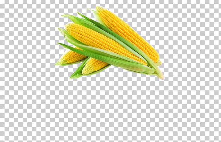 Vegetable Sweet Corn Corn Kernel Food Cereal PNG, Clipart, Agriculture, Cabbage, Cereal, Commodity, Corncob Free PNG Download
