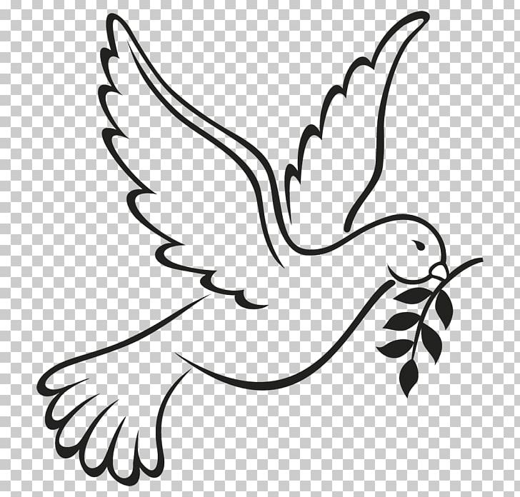 Columbidae Doves As Symbols Peace Symbols Drawing PNG, Clipart, Beak, Bird, Black, Branch, Fauna Free PNG Download