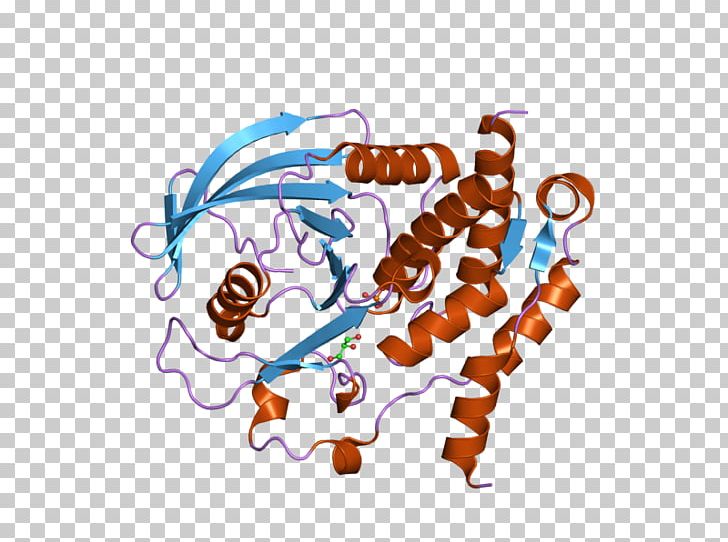 Protein Tyrosine Phosphatase Gene PTPN7 PNG, Clipart, Art, Cartoon, Domain, Ebi, Enzyme Free PNG Download
