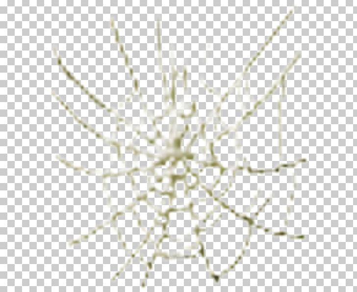 Symmetry Invertebrate Line Pattern Point PNG, Clipart, Arachnid, Arenanet, Art, Circle, Invertebrate Free PNG Download