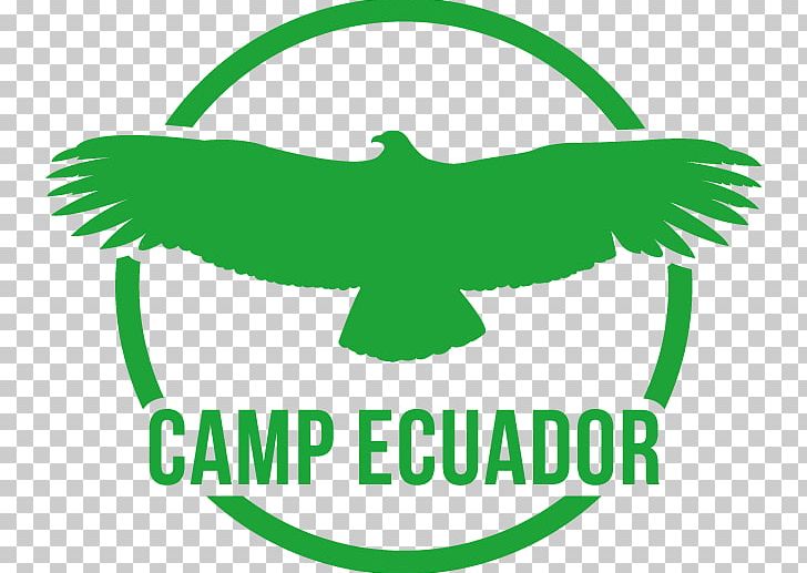 Amazon Rainforest Camps International Camp Ecuador Volunteering Fundraising PNG, Clipart, Andes, Area, Artwork, Beak, Brand Free PNG Download
