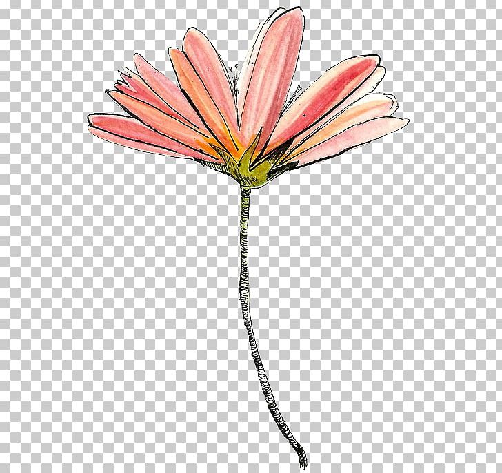 Drawing Flower YouTube Art PNG, Clipart, Art, Composition, Cut Flowers, Drawing, Drawing Board Free PNG Download