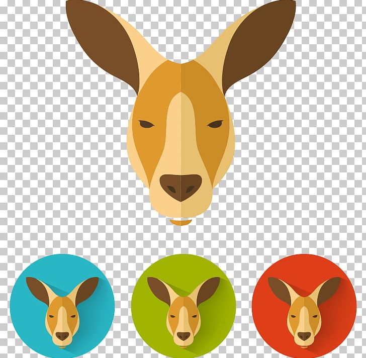 Flat Design Kangaroo Illustration PNG, Clipart, Animal, Animal Heads, Art, Avatar, Drawing Free PNG Download