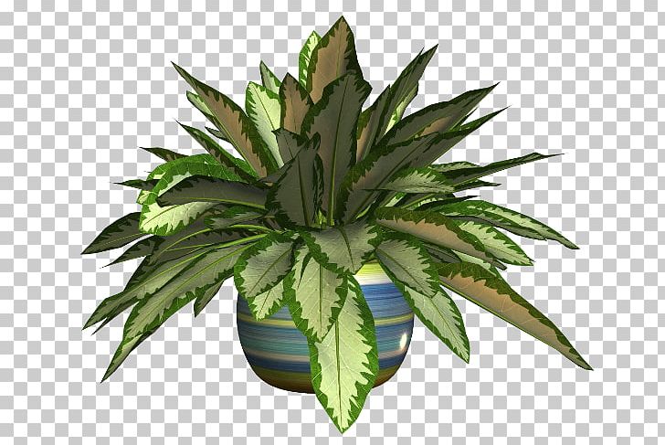 Flowerpot Plants Houseplant Portable Network Graphics Psd PNG, Clipart, Digital Image, Download, Evergreen, F 7, Flower Free PNG Download