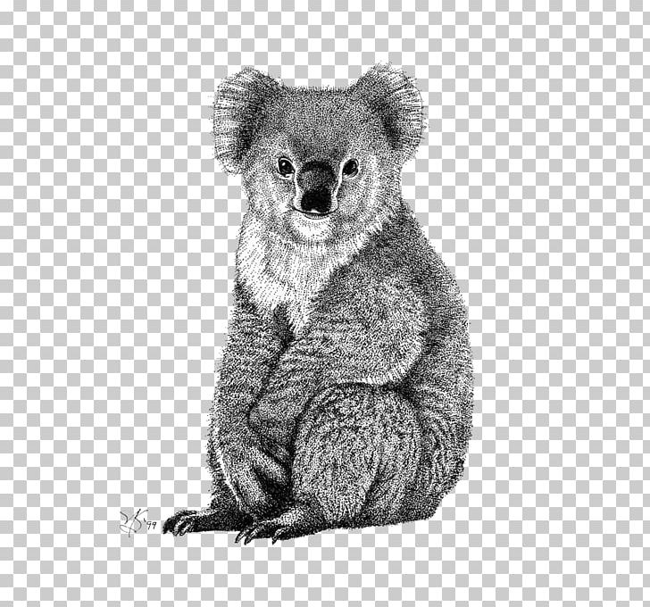 Koby El Koala/Koby The Koala Bear Drawing PNG, Clipart, Animal, Animals, Art, Bear, Black And White Free PNG Download