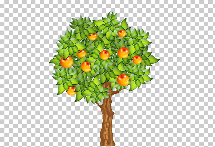 Portable Network Graphics Fruit Tree PNG, Clipart, Apple, Branch, Computer Icons, Drawing, Flower Free PNG Download