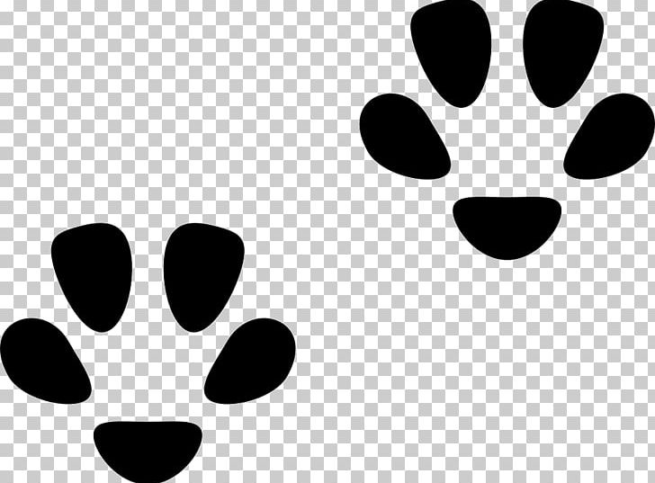 Cat Felidae Footprint Paw PNG, Clipart, Animal, Animals, Animal Track, Black, Black And White Free PNG Download