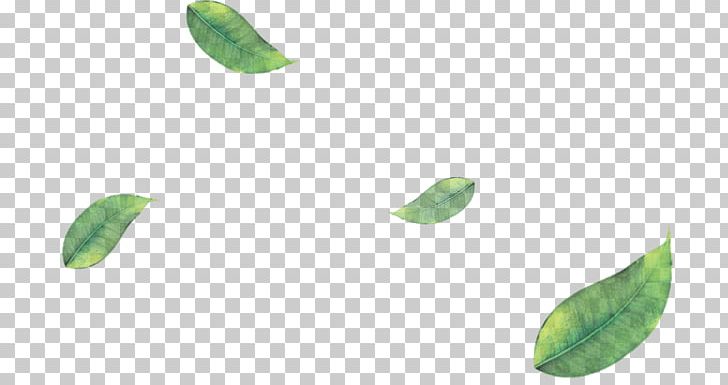 Green Tea Matcha Leaf PNG, Clipart, Autumn Leaf Color, Camellia Sinensis, Desktop Wallpaper, Food Drinks, Green Free PNG Download