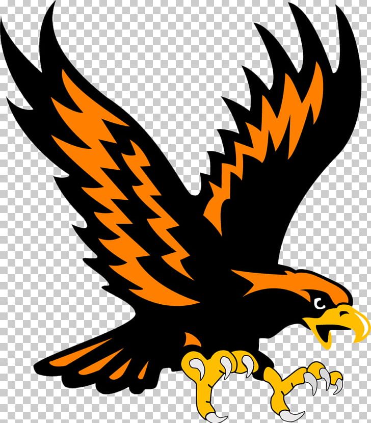 Hedgesville Somerset Area School District National Secondary School Student PNG, Clipart, Accipitriformes, Artwork, Bald Eagle, Beak, Bird Free PNG Download