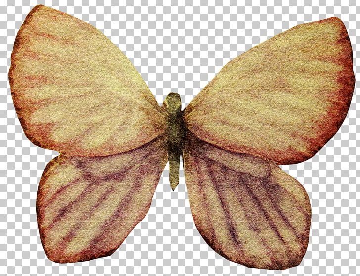 Butterfly Gratis Euclidean PNG, Clipart, Arthropod, Bombycidae, Butterflies And Moths, Butterfly, Christmas Decoration Free PNG Download