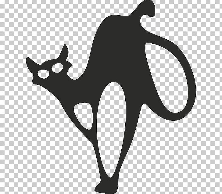Cat Kitten PNG, Clipart, Animals, Black, Black And White, Black Cat, Calico Cat Free PNG Download