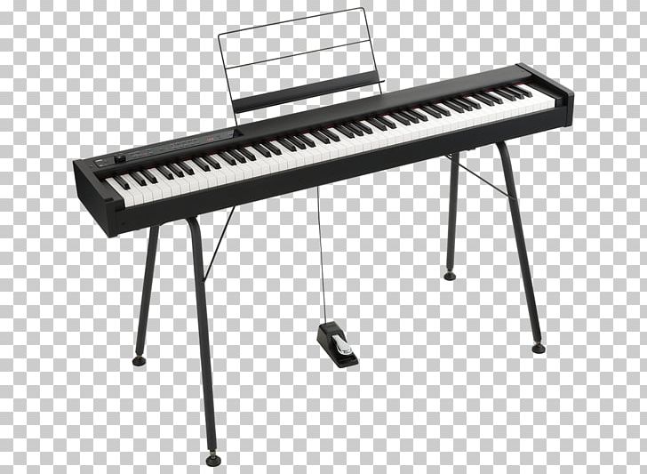 NAMM Show Digital Piano Stage Piano Korg PNG, Clipart, Action, Celesta, D 1, Digital Piano, Ele Free PNG Download