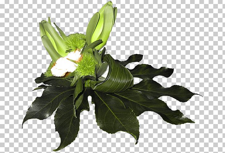 Cut Flowers Floral Design Leaf PNG, Clipart, Alphabet, Cooking, Creative, Cut Flowers, Floral Design Free PNG Download
