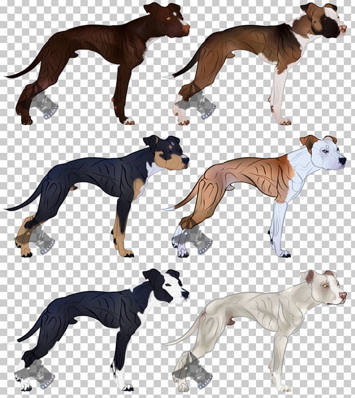 Dog Breed Whippet Lurcher American Pit Bull Terrier PNG, Clipart, American Dog Breeders Association, American Pit Bull Terrier, Blue Merle, Bull Terrier, Carnivoran Free PNG Download