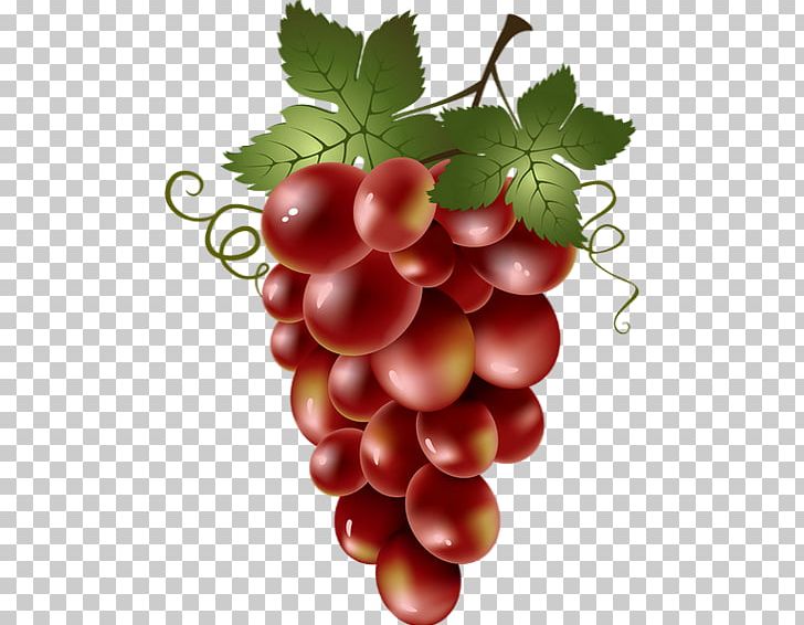 Common Grape Vine Red Wine PNG, Clipart, Boysenberry, Currant, Food, Fruit, Frutti Di Bosco Free PNG Download