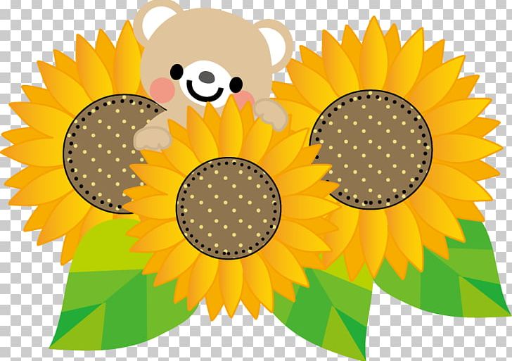 Computer Icons Common Sunflower Skin Care PNG, Clipart, Circle, Common Sunflower, Computer Icons, Daisy Family, Download Free PNG Download