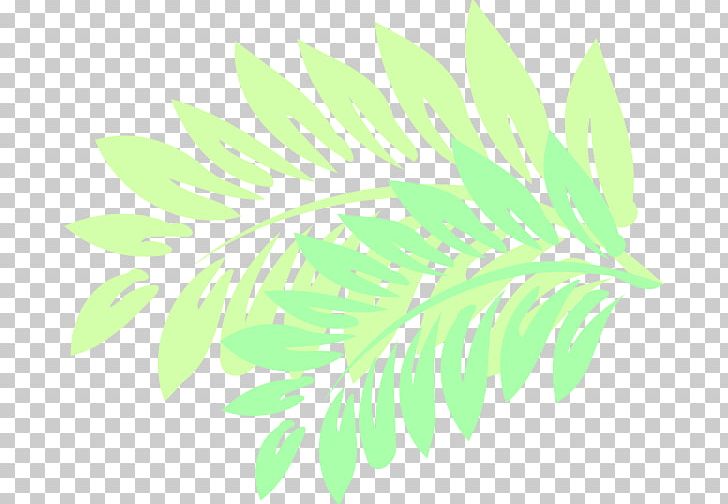 Leaf Hawaiian Hibiscus Plant Stem Computer Mouse PNG, Clipart, Arecaceae, Blanket, Branch, Computer Mouse, Grass Free PNG Download