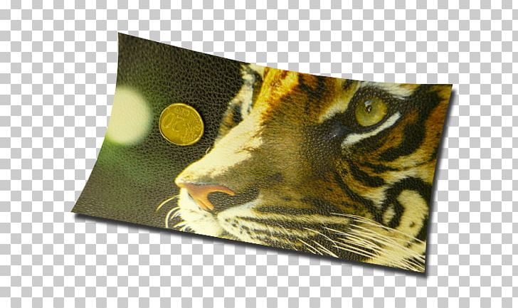 Artificial Leather Digital Printing Ecopelle Fake Fur PNG, Clipart, Artificial Leather, Big Cats, Carnivoran, Cat Like Mammal, Classified Advertising Free PNG Download