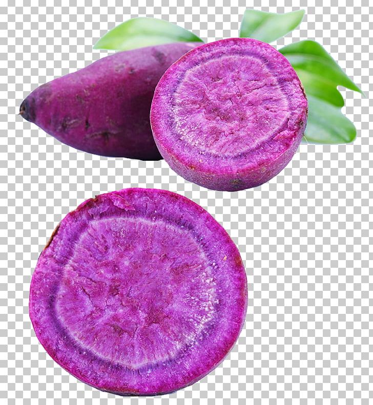 Sweet Potato Purple Nutrition PNG, Clipart, Adobe Illustrator, Cooking, Download, Fruit, Magenta Free PNG Download