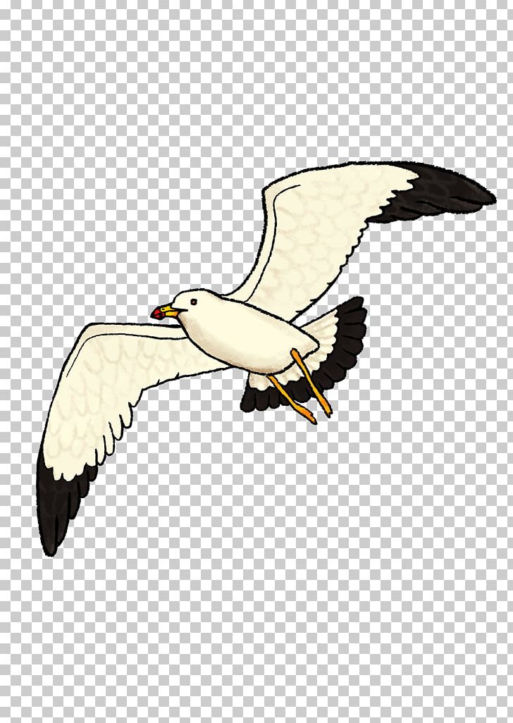 Eagle European Herring Gull Gulls Vulture PNG, Clipart, Accipitriformes, American Herring Gull, Beak, Bird, Bird Of Prey Free PNG Download