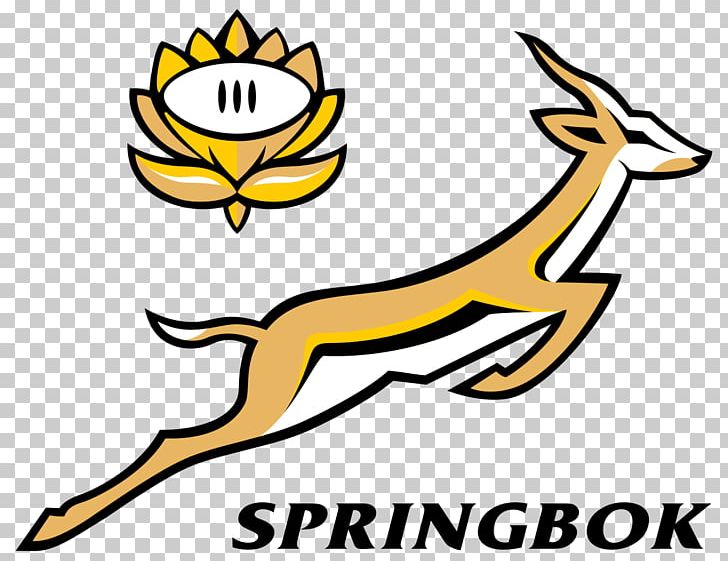 South Africa National Rugby Union Team New Zealand National Rugby Union Team Springbok 2017 Rugby Championship Australia National Rugby Union Team PNG, Clipart, African, Artwork, Beak, Black And White, Coach Free PNG Download