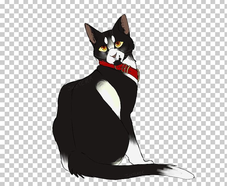 Whiskers American Wirehair Black Cat Domestic Short-haired Cat Warriors PNG, Clipart, Animals, Carnivoran, Cat, Cat Like Mammal, Domestic Short Haired Cat Free PNG Download