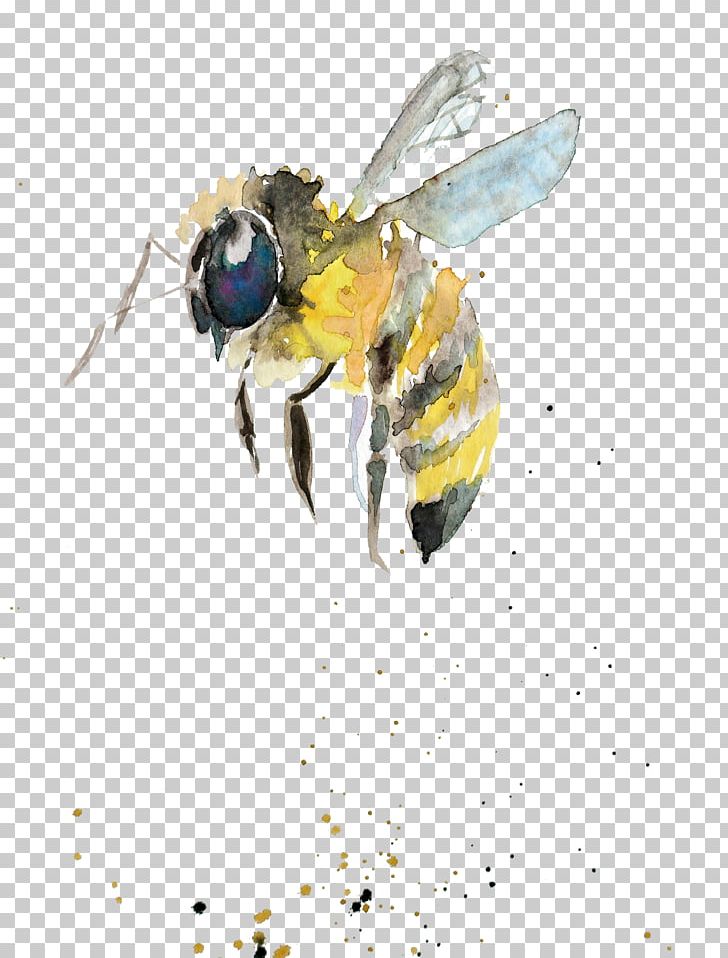 Bumblebee Watercolor Painting Drawing Insect PNG, Clipart, Art, Arthropod, Artist, Bee, Bumblebee Free PNG Download