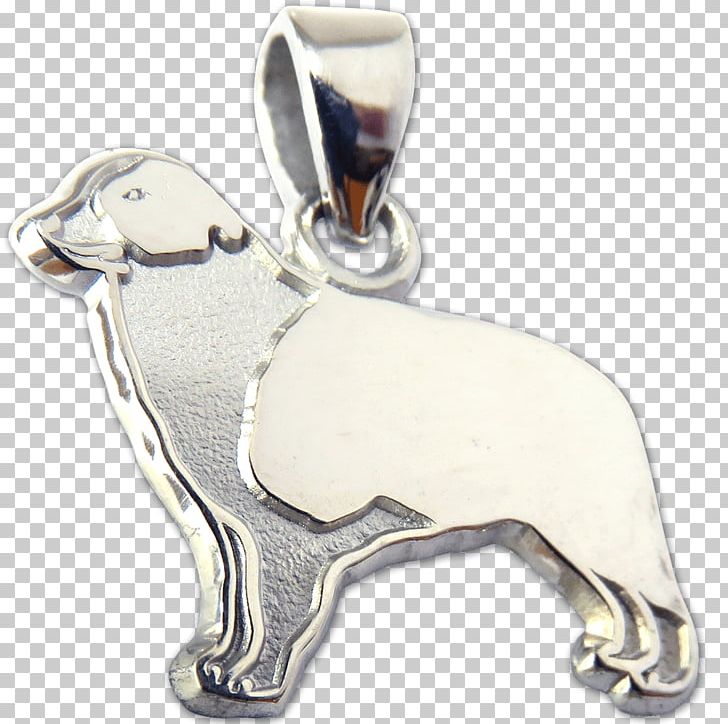 Dog Charms & Pendants Silver Body Jewellery PNG, Clipart, Animals, Body Jewellery, Body Jewelry, Carnivoran, Charms Pendants Free PNG Download