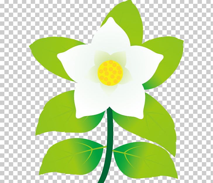 Petal Flower Floral Design PNG, Clipart, Branch, Christmas, Flora, Floral Design, Flower Free PNG Download
