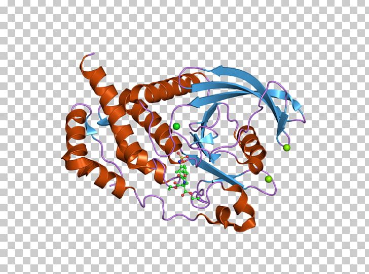 PTPRB Art Protein Tyrosine Phosphatase Protein Phosphatase PNG, Clipart, Art, Art Museum, Beta, Domain, Ebi Free PNG Download