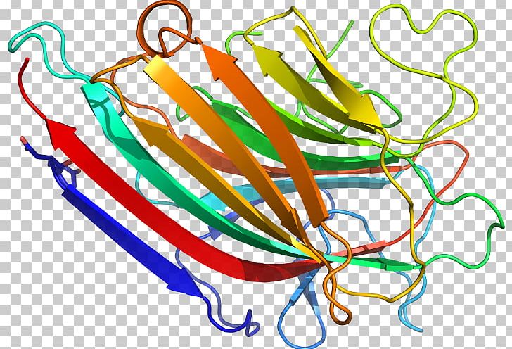 Line Point Organism PNG, Clipart, Area, Art, Artwork, Integrin, Line Free PNG Download