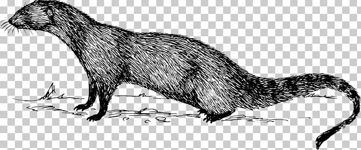 Mongoose Meerkat Sea Otter Deer Anteater PNG, Clipart, Animal, Animal Figure, Animals, Anteater, Carnivoran Free PNG Download