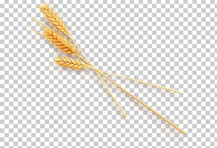 Wheat Computer File PNG, Clipart, Cartoon Wheat, Commodity, Computer Icons, Computer Software, Encapsulated Postscript Free PNG Download