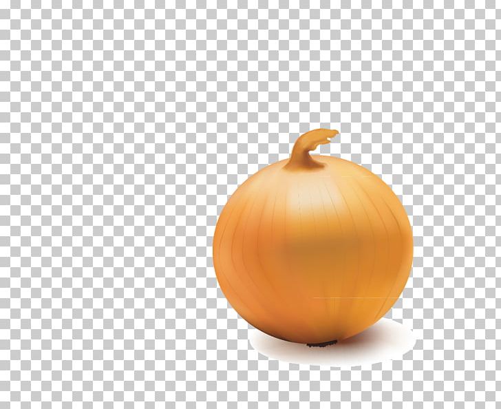 Pumpkin Calabaza Winter Squash Orange Cucurbita PNG, Clipart, Calabaza, Cucurbita, Food, Fruit, Green Onion Free PNG Download