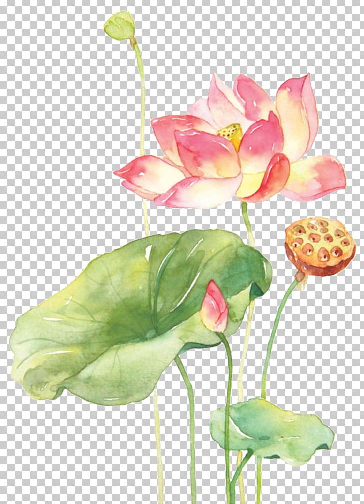 Watercolor Painting Techniques Watercolour Flowers Nelumbo Nucifera PNG, Clipart, Aquatic Plant, Artificial Flower, Chinese Painting, Flower, Flower Arranging Free PNG Download
