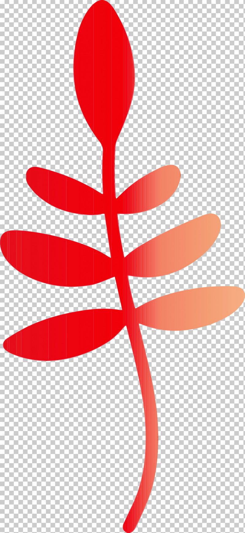 Leaf Flower Petal Tree Line PNG, Clipart, Biology, Flower, Geometry, Leaf, Line Free PNG Download