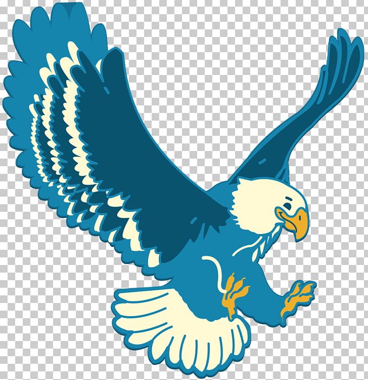 Bald Eagle Enadia Way Child Elementary School PNG, Clipart, Accipitriformes, Bald Eagle, Beak, Bird, Bird Of Prey Free PNG Download