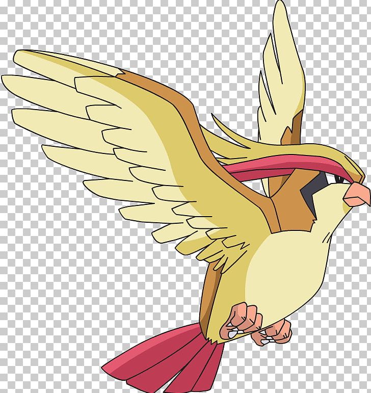 Pokémon GO Pidgeotto Pokémon Types PNG, Clipart, Art, Beak, Beedrill, Bird, Bird Of Prey Free PNG Download
