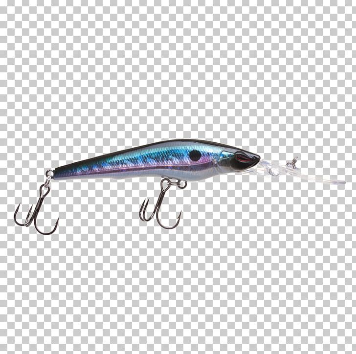 Spoon Lure Plug Fishing Zander Length PNG, Clipart, Bait, Buoyancy, Byte, Cultivar, Fish Free PNG Download