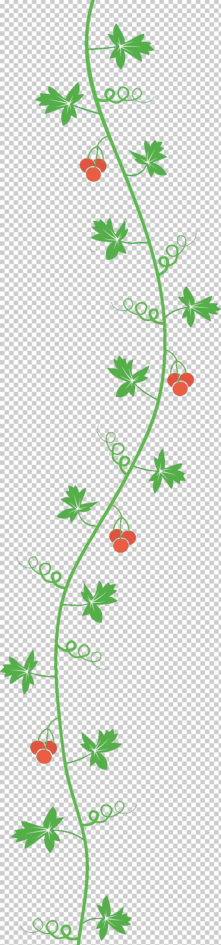 Boston Ivy Leaf Plant Vine PNG, Clipart, Angle, Area, Aromatherapy, Boston Ivy, Branch Free PNG Download