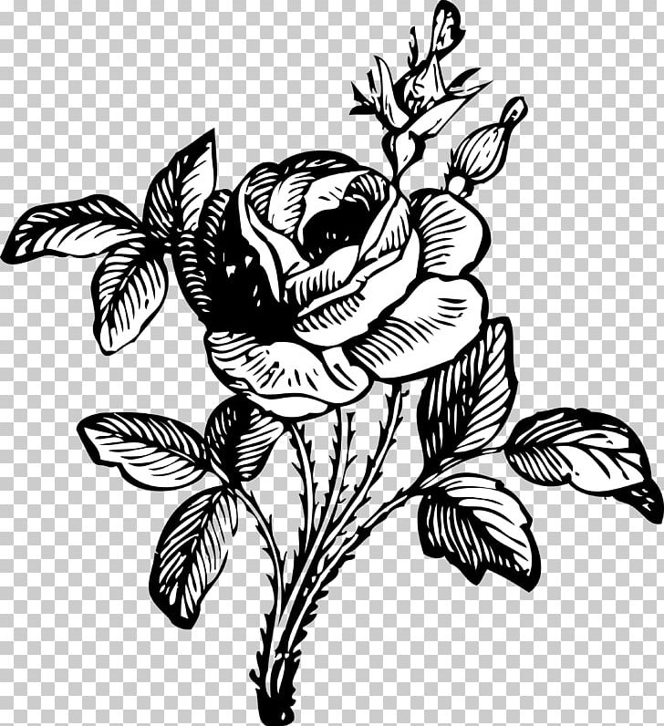 Rose Flower Drawing PNG, Clipart, Art, Artwork, Black, Black Rose, Blue Rose Free PNG Download