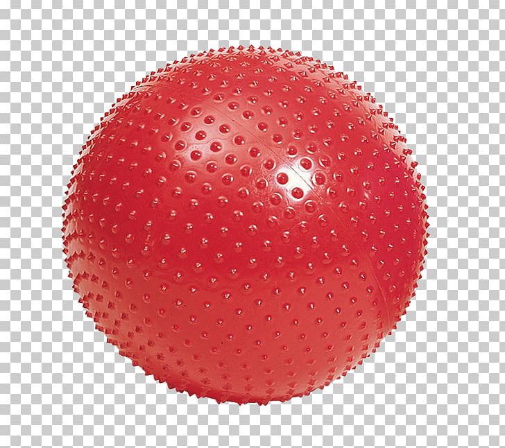 Exercise Balls Physical Fitness Fitness Centre PNG, Clipart, Artikel, Ball, Bodybuilding, Circle, Dumbbell Free PNG Download