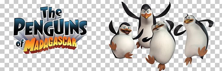 Kowalski YouTube Penguin Madagascar Film PNG, Clipart, Animal Figure, Animated Film, Beak, Bird, Dreamworks Animation Free PNG Download